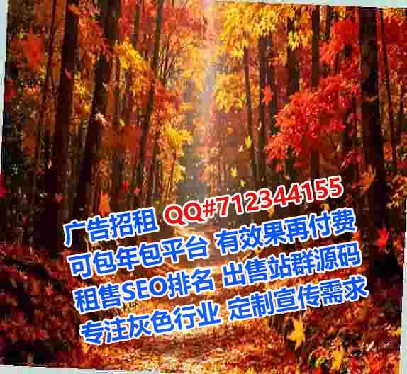 迭部代生快递经营部